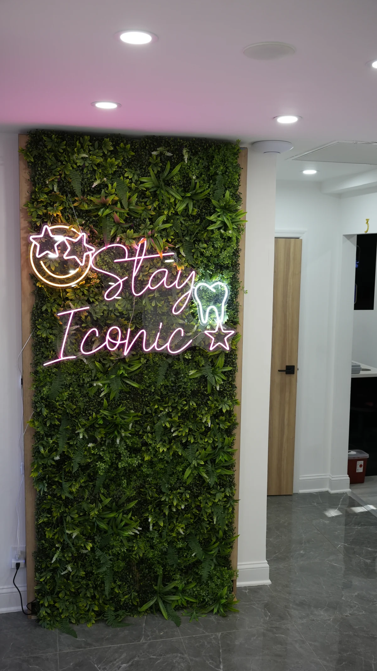 The green feature wall inside Iconic Smiles Bellerose